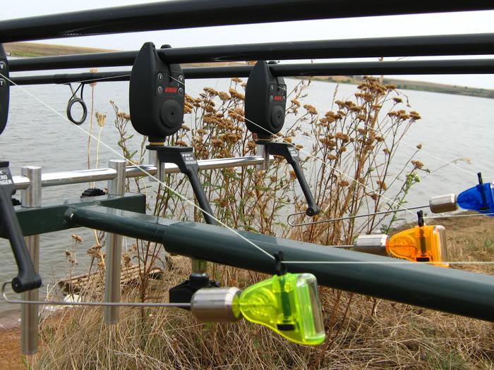 mai multe :) - q8.jpg